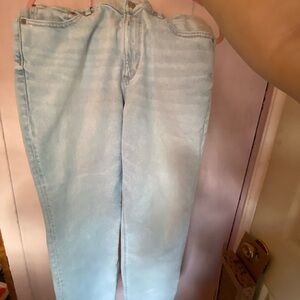 American Eagle Light Wash High-Rise Straight Jeans Size 12 Short